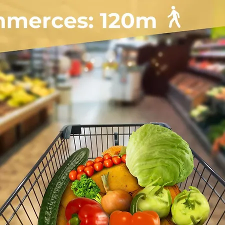 Entier - T2 Confort - - Balcon Amenage * Toulouse