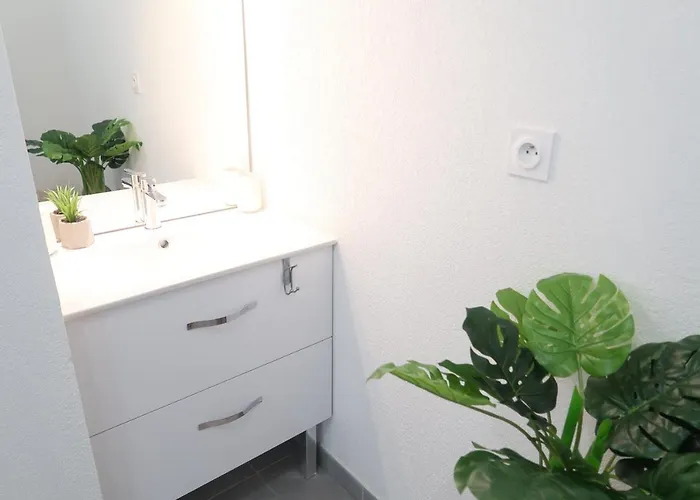 Apartment Entier - T2 Confort - - Balcon Amenage Toulouse