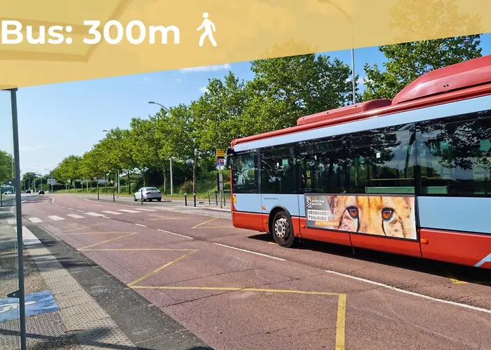 Entier - T2 Confort - - Balcon Amenage *